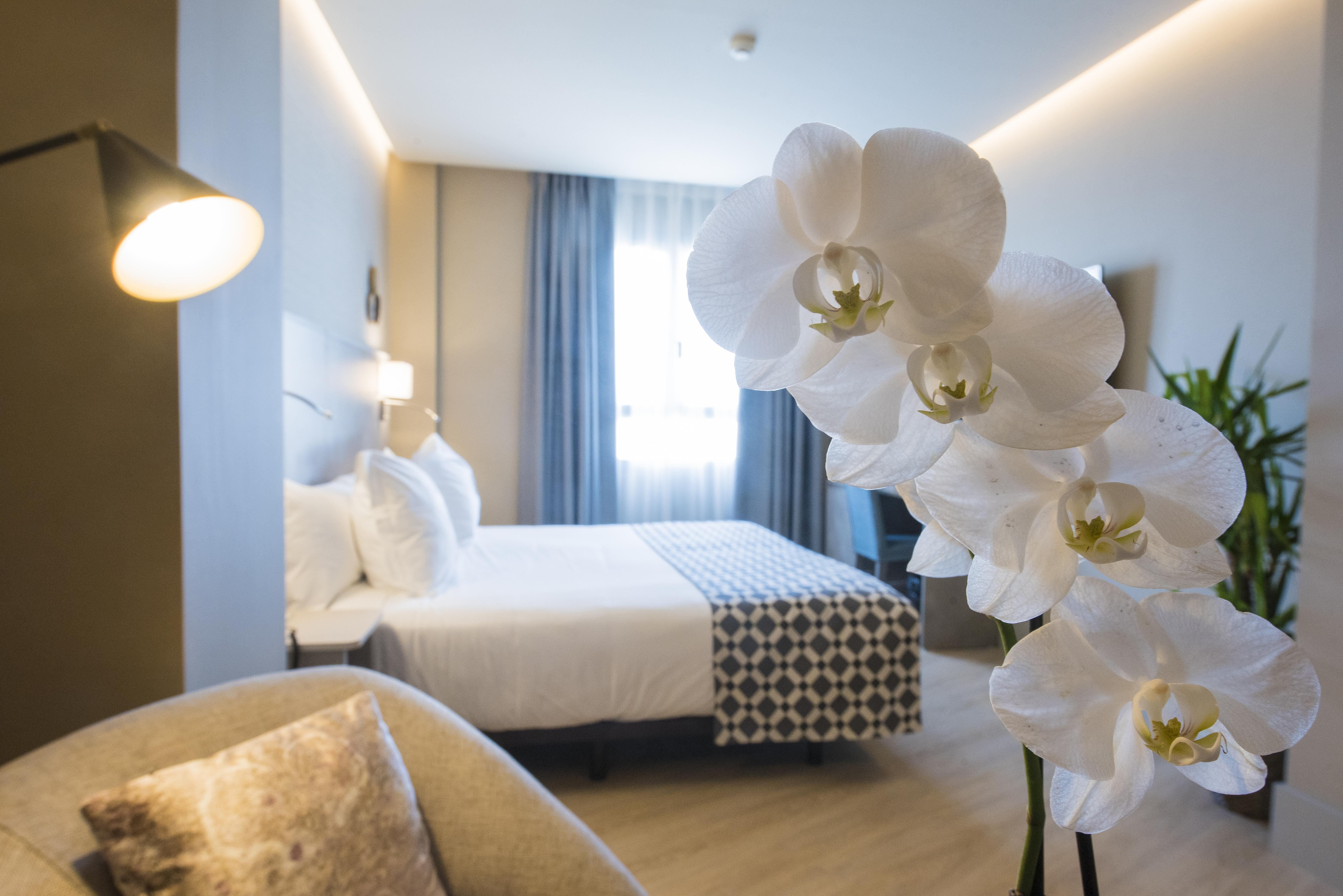 Hotel America Sevilla — Photos 1